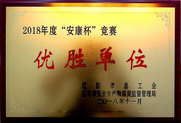 凯时AG集团荣获“2018年度安康杯较量优胜单元”