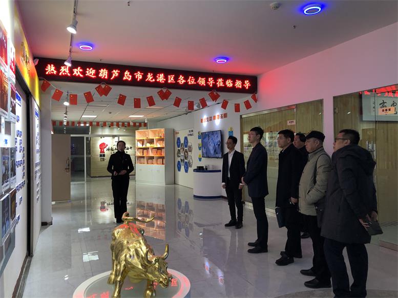 辽宁省葫芦岛市龙岗区常务副区长付国一行光临凯时AG集团调查财路大数据项目
